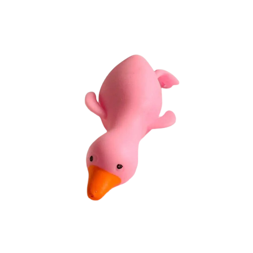 Duck Squishy Toy